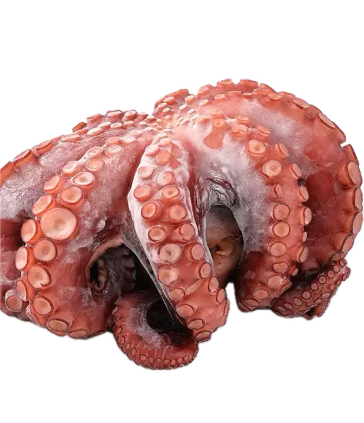 Frozen Boiled Octopus Premium Sashimi Grade 5.5~6 lbs / each