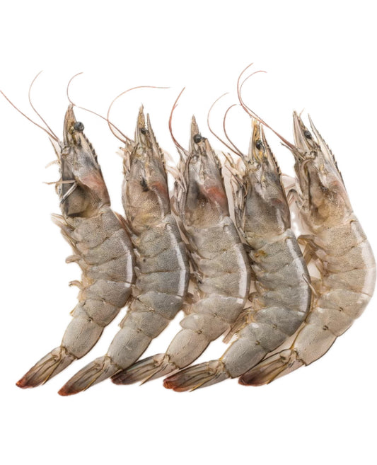 Frozen Vannamei Shrimp ( Head on / Shell on ) 20/30 4lbs * 2 Box
