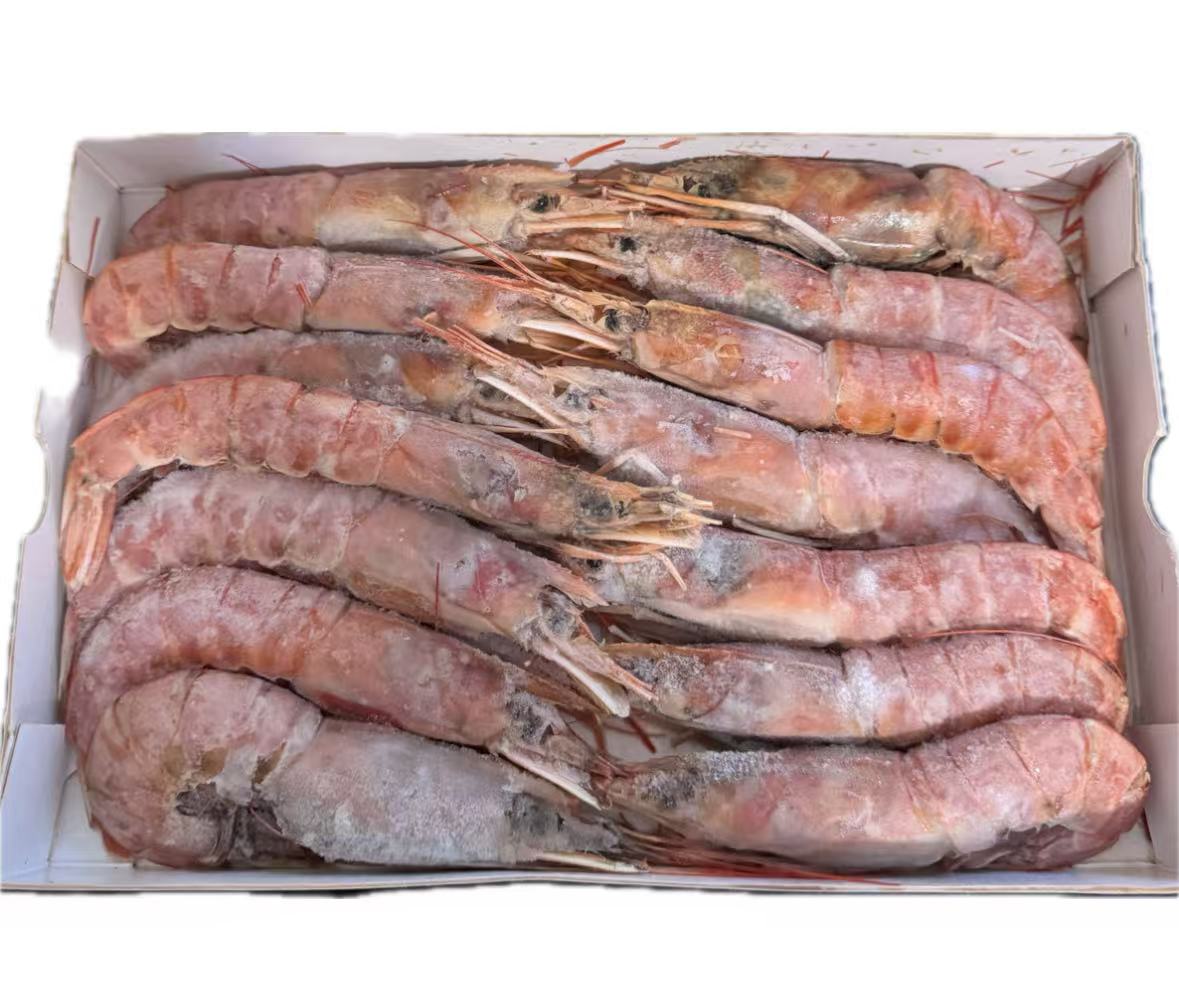 Frozen Wild Caught Red Shrimp Langostinos Congelados  1.76 lbs * 3 boxes